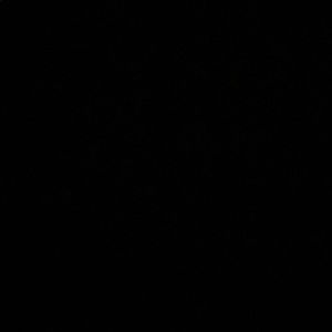 Meet your Posher, Iris